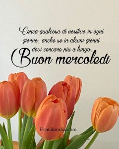 Cerca qualcosa di positivo in ogni giorno, anche se in alcuni giorni devi cercare più a lungo. Buon mercoledì