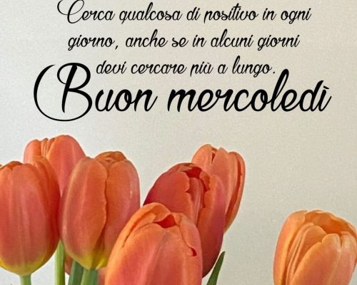 Cerca qualcosa di positivo in ogni giorno, anche se in alcuni giorni devi cercare più a lungo. Buon mercoledì