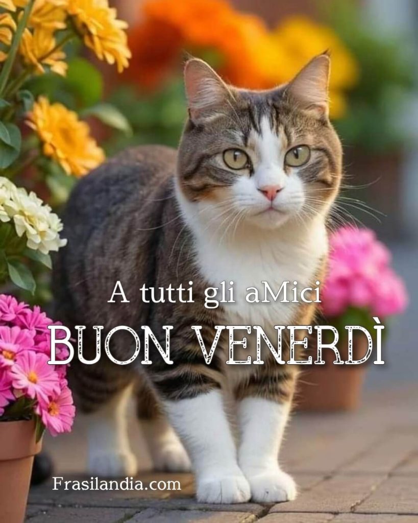 A tutti gli aMici buon venerdì