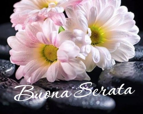 Buona serata