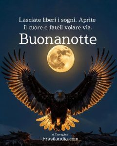 Lasciate liberi i sogni. Aprite il cuore e fateli volare via. Buonanotte