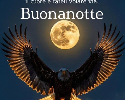 Lasciate liberi i sogni. Aprite il cuore e fateli volare via. Buonanotte