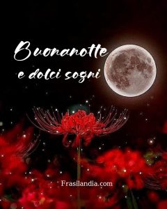 Buonanotte e dolci sogni