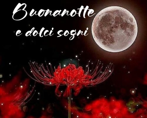 Buonanotte e dolci sogni