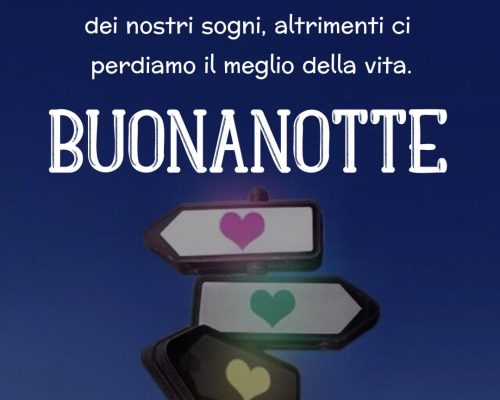 Bisogna andare nella direzione dei nostri sogni, altrimenti ci perdiamo il meglio della vita. Buonanotte