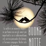 La notte è un momento magico se portiamo con noi gli amori più importanti e se ci addormentiamo col sorriso pensando che domani ci faranno compagnia. Anche solo col pensiero.