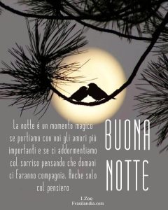 La notte è un momento magico se portiamo con noi gli amori più importanti e se ci addormentiamo col sorriso pensando che domani ci faranno compagnia. Anche solo col pensiero.