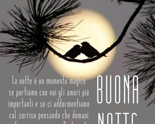 La notte è un momento magico se portiamo con noi gli amori più importanti e se ci addormentiamo col sorriso pensando che domani ci faranno compagnia. Anche solo col pensiero.