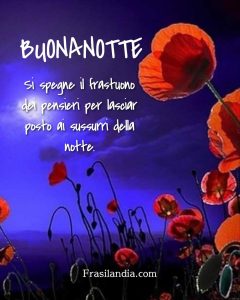 Si spegne il frastuono dei pensieri per lasciar posto ai sussurri della notte Buonanotte