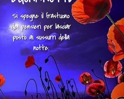 Si spegne il frastuono dei pensieri per lasciar posto ai sussurri della notte Buonanotte