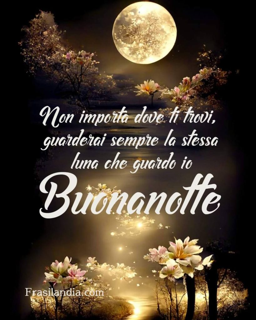 Non importa dove ti trovi, guarderai sempre la stessa luna che guardo io Buonanotte