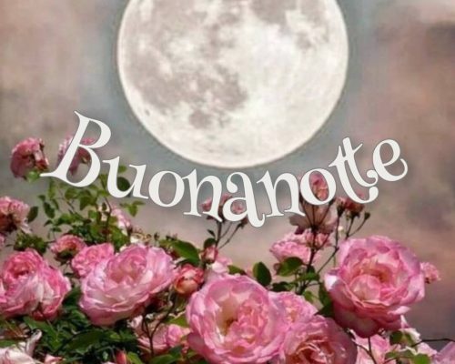 Buonanotte