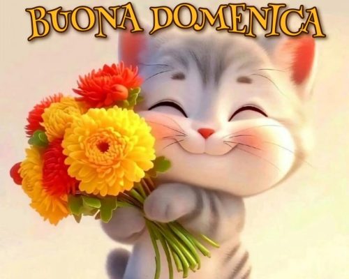 Buona domenica