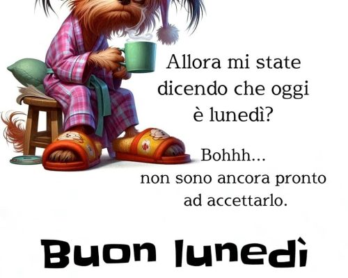 Allora mi state dicendo che oggi è lunedì? Bohhh... non sono ancora pronto ad accettarlo. Buon lunedì