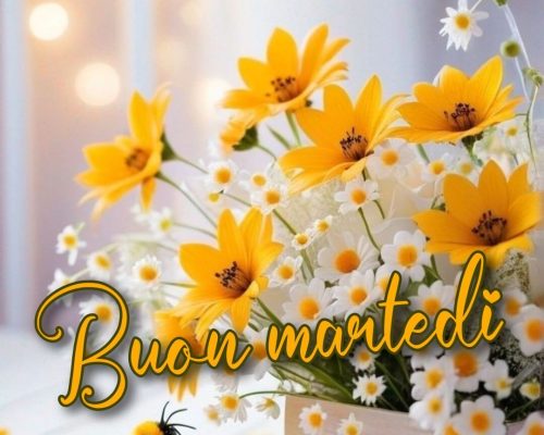 Buon martedì