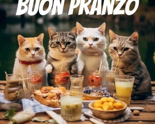 Buon pranzo