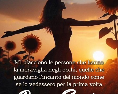 Mi piacciono le persone che hanno la meraviglia negli occhi, quelle che guardano l'incanto del mondo come se lo vedessero per la prima volta... Buona Serata