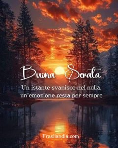 Un istante svanisce nel nulla, un'emozione resta per sempre. Buona Serata