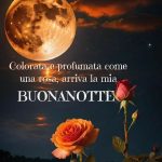 Profumata e colorata come una rosa, arriva la mia buonanotte.