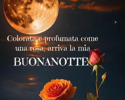 Profumata e colorata come una rosa, arriva la mia buonanotte.