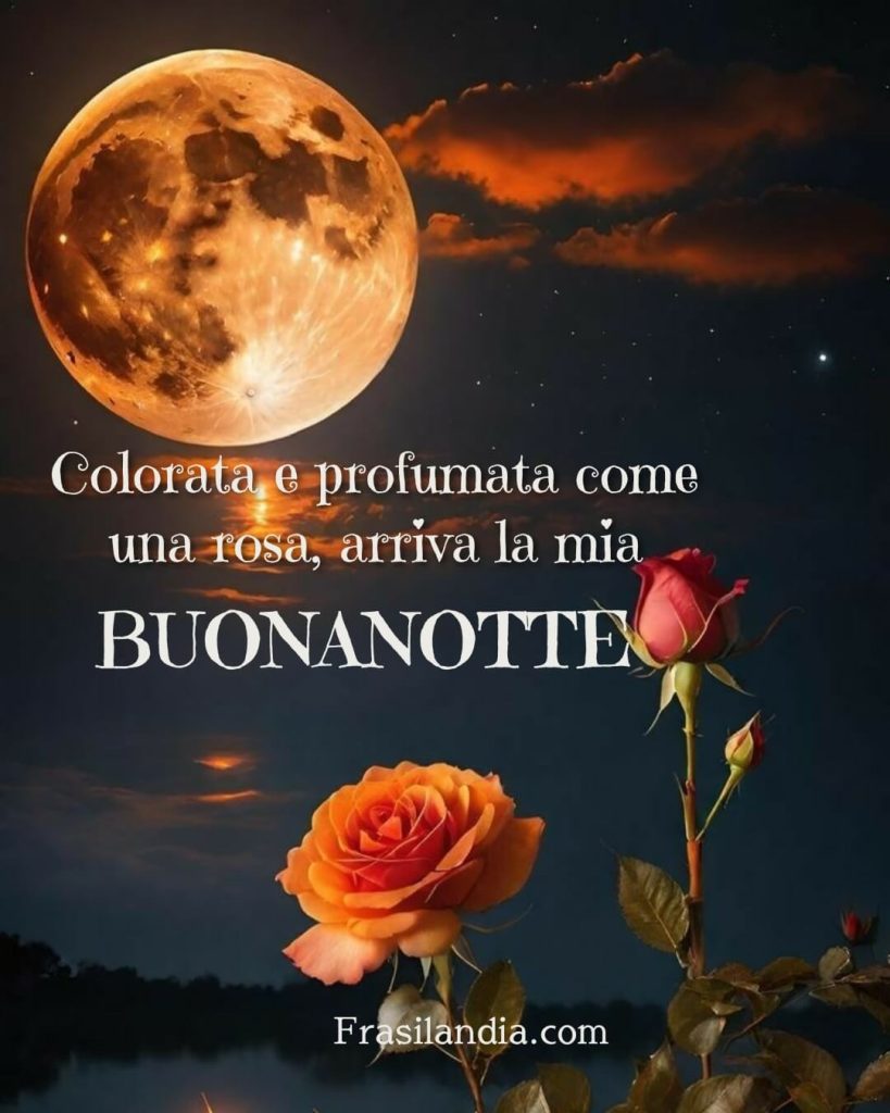 Profumata e colorata come una rosa, arriva la mia buonanotte.