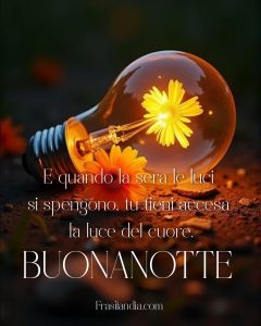 E quando la sera le luci si spengono, tu tieni accesa la luce del cuore. Buonanotte