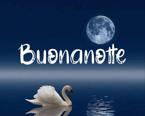 Buonanotte