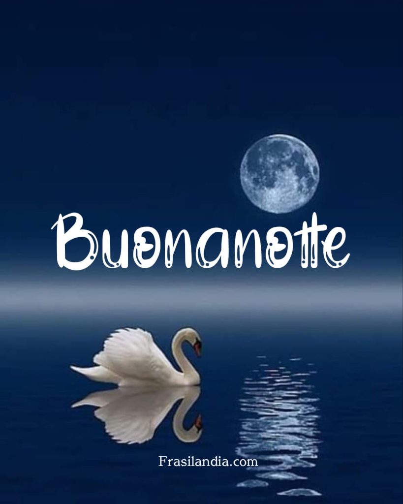 Buonanotte