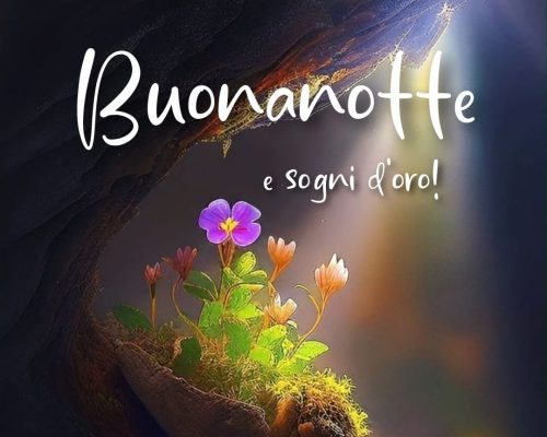 Buonanotte e sogni d'oro!