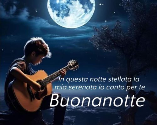 In questa notte stellata la mia serenata io canto per te Buonanotte