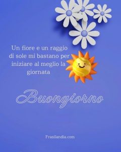 Un fiore e un raggio di sole mi bastano per iniziare al meglio la giornata. Buongiorno