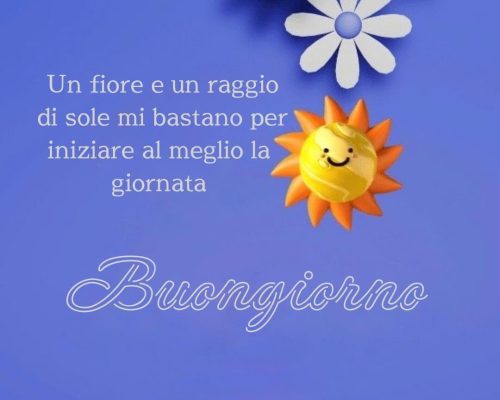 Un fiore e un raggio di sole mi bastano per iniziare al meglio la giornata. Buongiorno