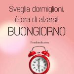 Sveglia dormiglioni, è ora di alzarsi. Buongiorno