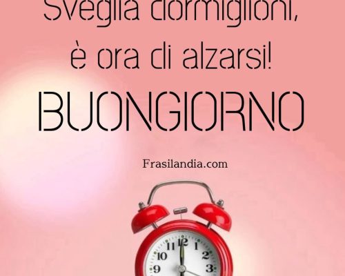 Sveglia dormiglioni, è ora di alzarsi. Buongiorno