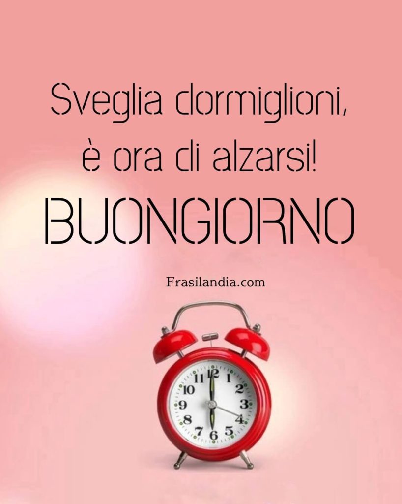 Sveglia dormiglioni, è ora di alzarsi. Buongiorno