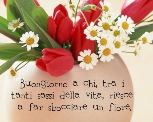 Buongiorno a chi tra i tanti sassi della vita, riesce a far sbocciare un fiore.