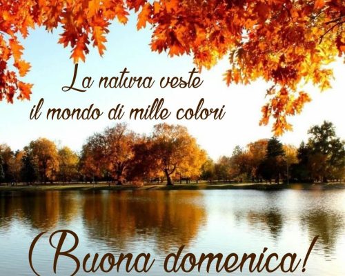 La natura veste il mondo di mille colori. Buona domenica