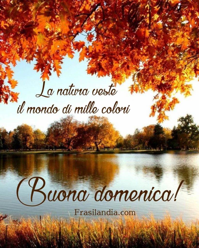 La natura veste il mondo di mille colori. Buona domenica