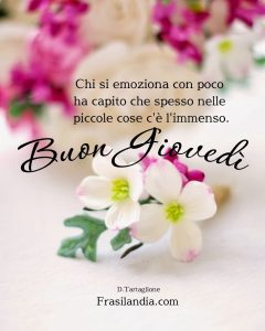 Chi si emoziona con poco ha capito che spesso nelle piccole cose c'è l'immenso. Buon giovedì