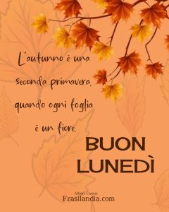 L'autunno è una seconda primavera, quando ogni foglia è un fiore. Buon lunedì