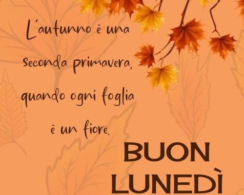 L'autunno è una seconda primavera, quando ogni foglia è un fiore. Buon lunedì