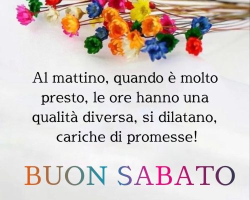 Al mattino, quando è molto presto, le ore hanno una qualità diversa, si dilatano, cariche di promesse. Buon Sabato