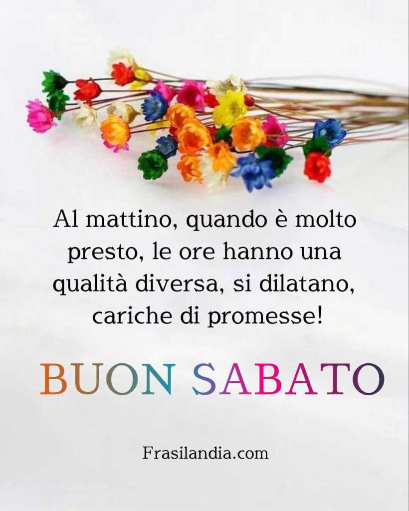 Al mattino, quando è molto presto, le ore hanno una qualità diversa, si dilatano, cariche di promesse. Buon Sabato