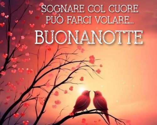 Sognare col cuore può farci volare. Buonanotte