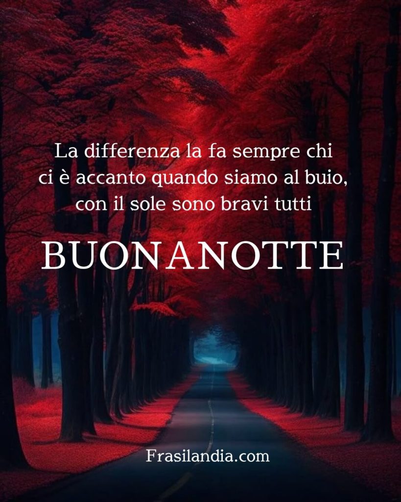 La differenza la fa sempre chi ci è accanto quando siamo al buio, con il sole sono bravi tutti. Buonanotte