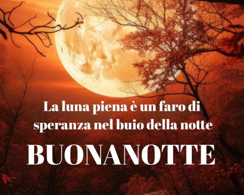 La luna piena è un faro di speranza nel buio della notte. Buonanotte