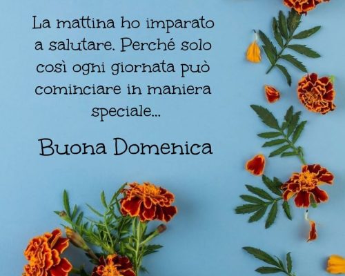 La mattina ho imparato a salutare. Perché solo così ogni persona può cominciare in maniera speciale. Buona Domenica