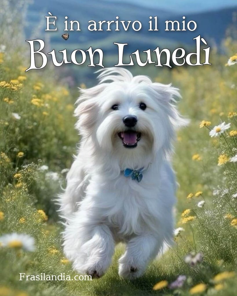 Buon lunedì