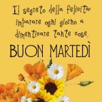 "Il segreto della felicità: imparare ogni giorno a dimenticare tante cose. Buon martedì