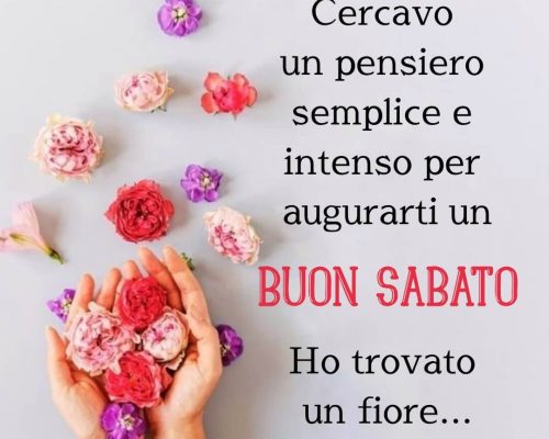 Cercavo un pensiero semplice e intenso per augurarti un BUON SABATO. Ho trovato un fiore.